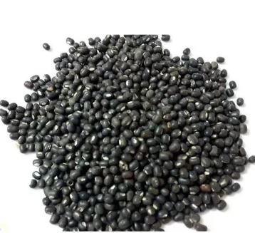 Remik Black Gold Black Gram (Urad) Seeds Weight - 1 Kg