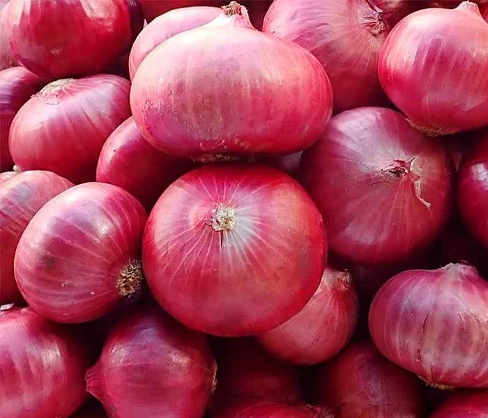Remik Kasturi Research Onion Seeds - 500 Gm
