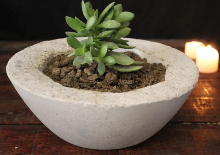 Small Bowl Planter White Color Stone Bowl