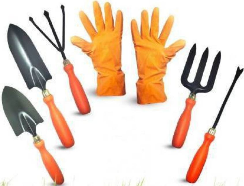 AGT Pruner,Khurpi ,Gloves ,8 Patten tregar ,Hand weeder,Hand big trowel, Hand small trowel,Hand fork,Hand cultivator Garden Tool Kit  