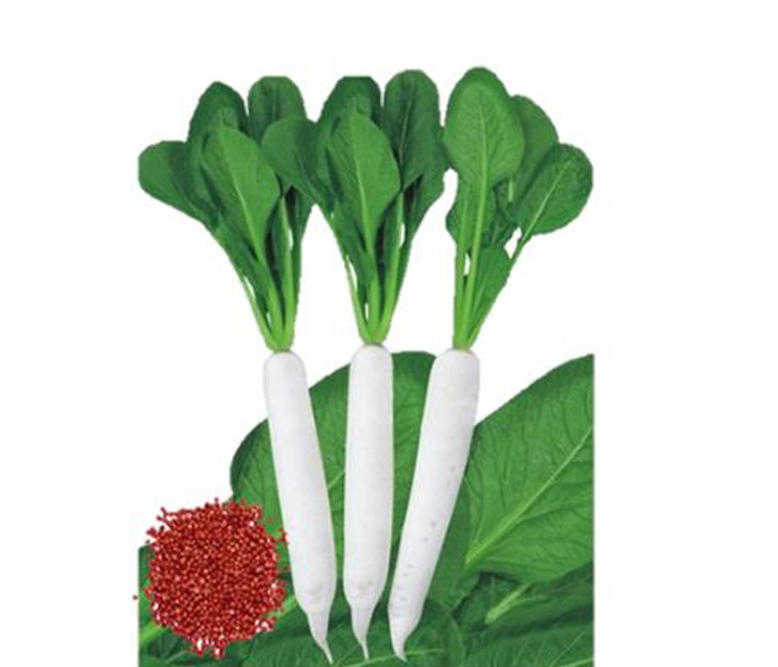 URO Green Vegetables Seeds ( Radish ) , Weight 500 GM