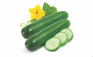 Remik Fresh Slice F1 Hybrid Cucumber Seeds - 50 Gm