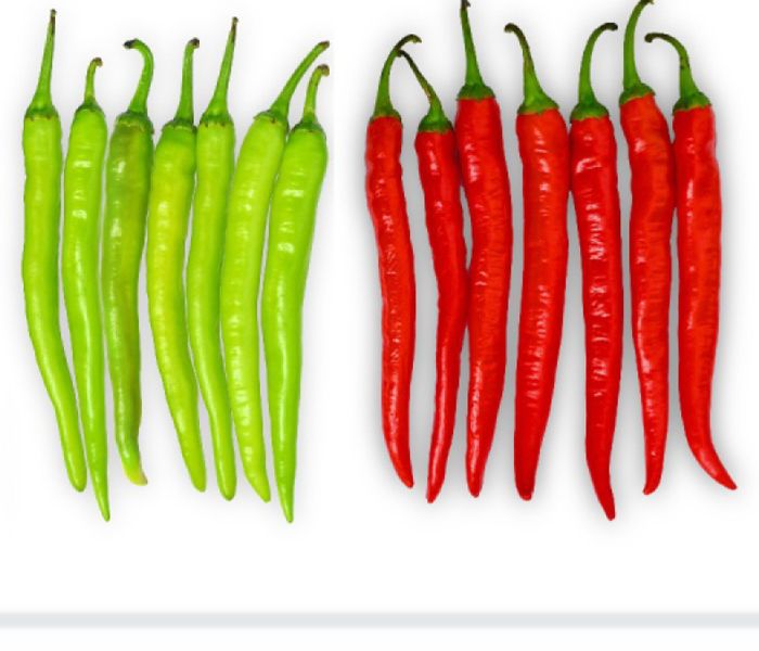 Remik Red Spices F1 Hybrid Chilli Seeds10 Gm