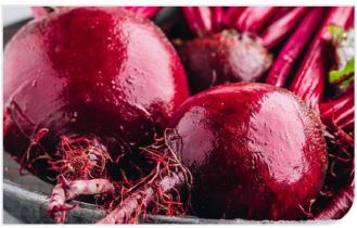 REMIK RED RESEARCH BEETROOT SEED 250 Gm