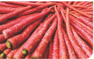 Carrot	Remik Moody Red (Jodhpur) Seeds 500 GM
