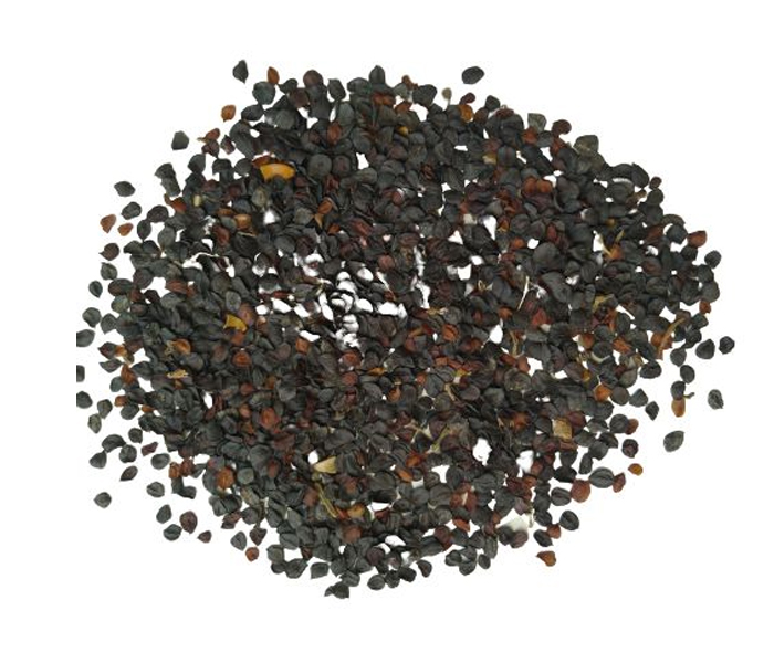 Dianthus Carpet Mix Flower Seeds ( Per Package 1000 Pcs )