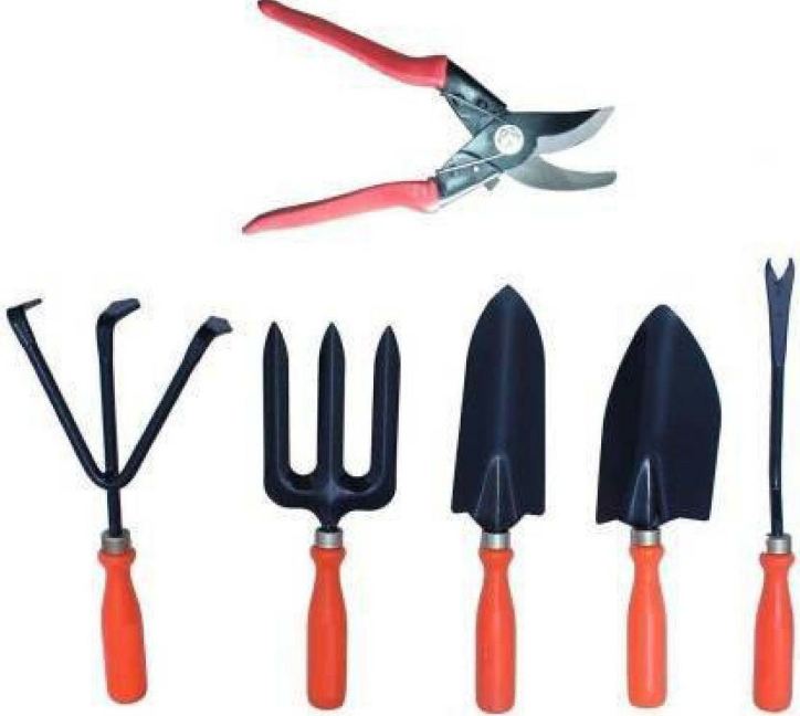 AGT Set of 6 Tool Kit - Weeder,Trowel Big,Trowel Small,Cultivator,Fork, Garden Spectacular and Economical Gardening Tools Set With Pruner