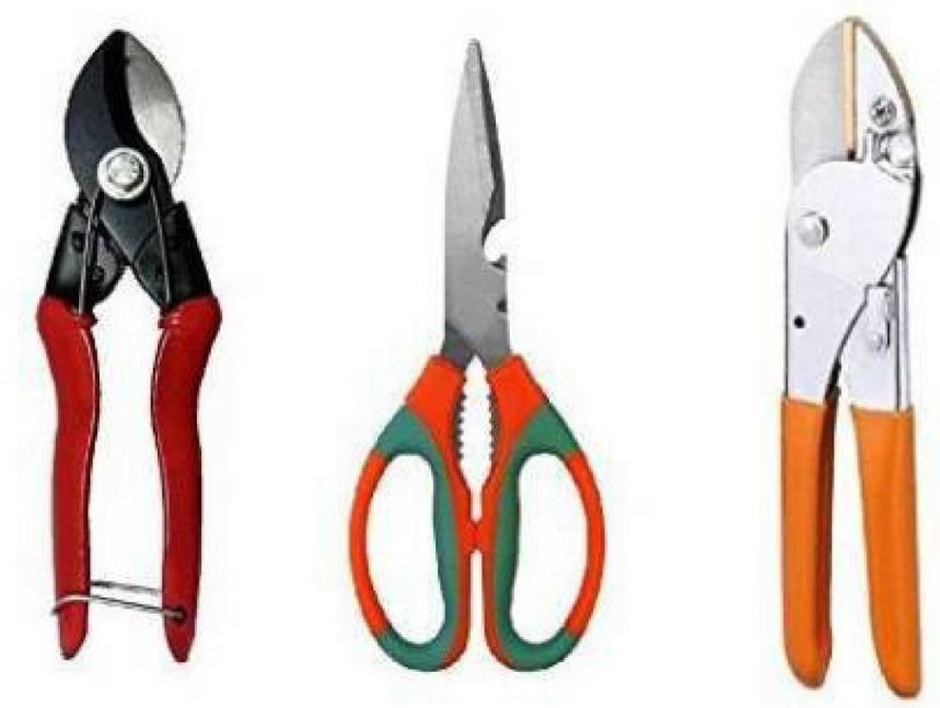 AGT Garden Scissor, Garden Pruner, Garden Cutter Gardening Cut Tools (Set of 3)