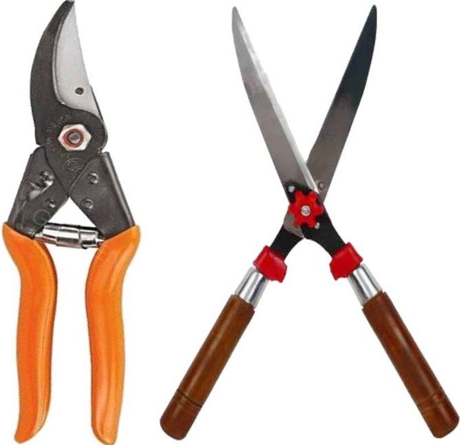AGT German Cutter for Gardening Shears Pruner Heavy Cutter Garden Scissor Set of 2  - Gardening Tool Kit