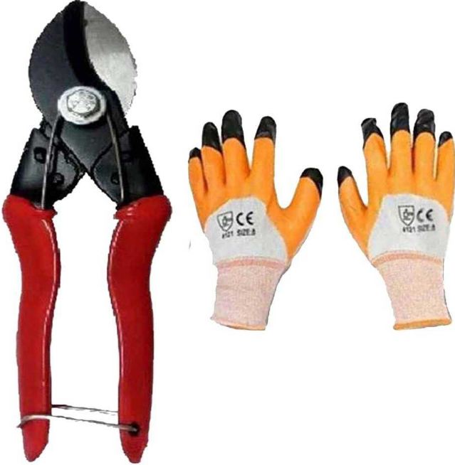 AGT Red Scissor Heavy Cutter and Hand Gloves Set of 2 - Gardening Tool Kit Garden Tool Kit  (2 Tools)