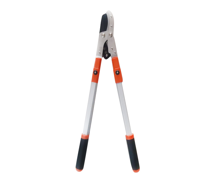 Professional Lopping Shears