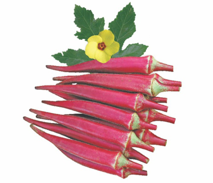 Remik Red Finger Hybrid Okra Seeds (Bhindi ke Beej)- 250 Gm