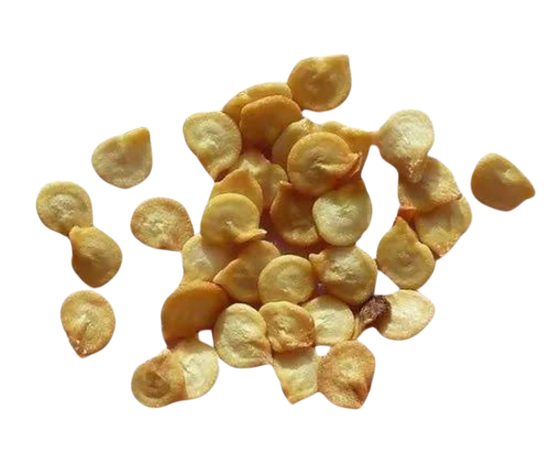 Capsicum Or California Wonder Yellow Seeds - 5 Gm