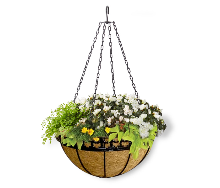 HANGING BASKET WITH LINER & METAL CHAIN