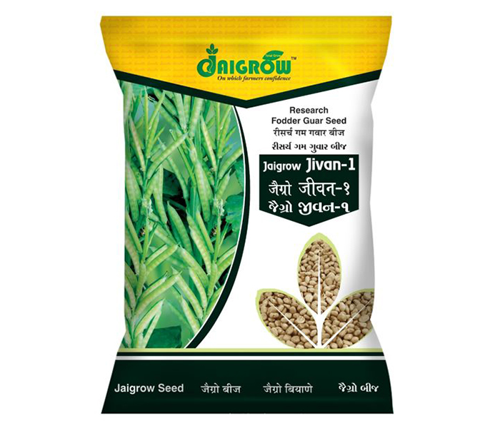 RESEARCH CLUSTER BEAN (GUM GUAR) JAIGROW-JIVAN  Seeds  2 kg