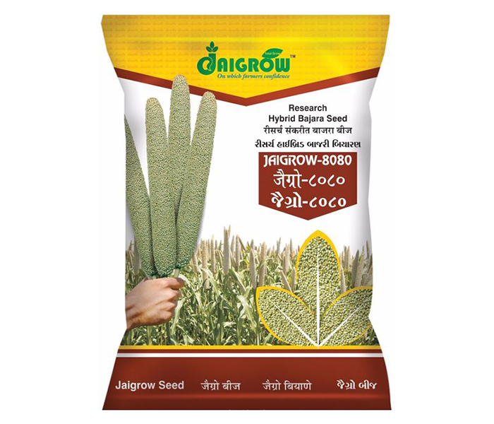 HYBRID BAJRA JAIGROW - Seeds 1.5 Kg