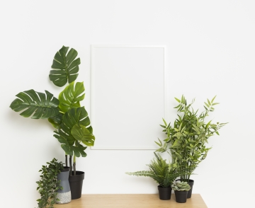 Flourish Your Space with Urbot’s Indoor Plants for Home