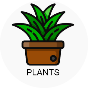 Plants 