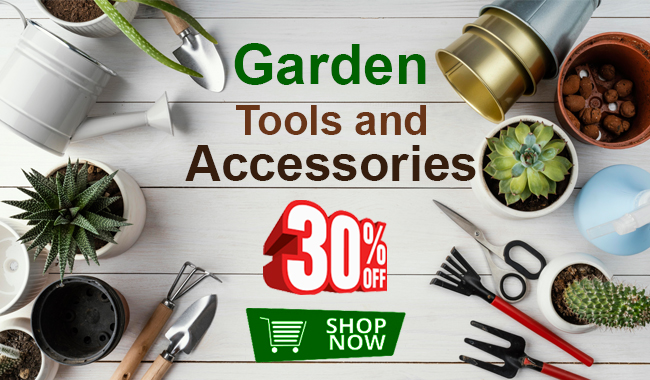 Garden Tools and Accessories